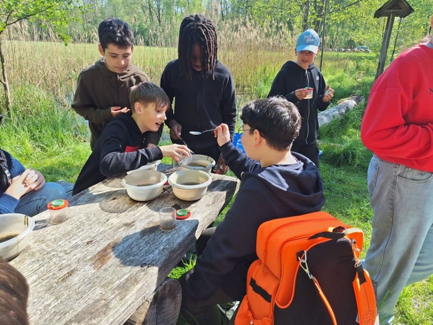 Bild der 6a im Schutzgebiet „Rainer Wald“. Sie untersuchen das Wasser auf Leben